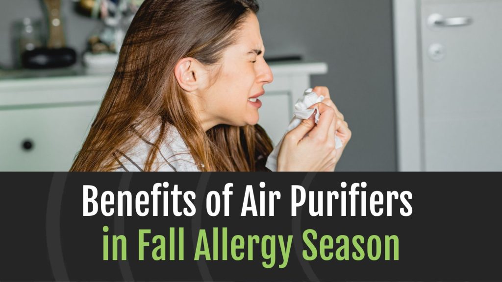 Benefits of Air Purifiers in Fall Allergy Season